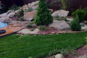 ландшафтный дизайн